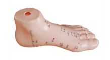 Foot Acupuncture Model 13CM product image 1
