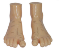 Massage Model 17CM product image 1