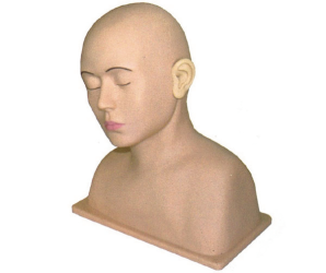 Advanced Ear Training Model product image 1