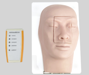 Advanced Nose Model product image 1