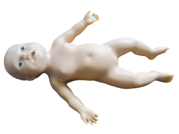 Infant Tuina Training and Assessment Model product image 1