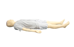 High-Fidelity Full-Body TCM Skills Training Simulator product image 1