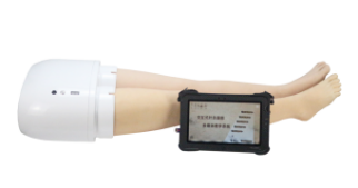 Interactive Acupuncture Leg Multimedia Teaching System product image 1