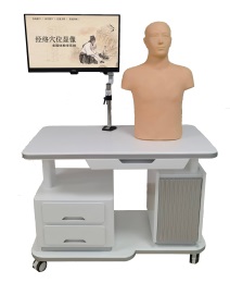 Meridian and Acupoint Visualization Multimedia Teaching System - Torso product image 1