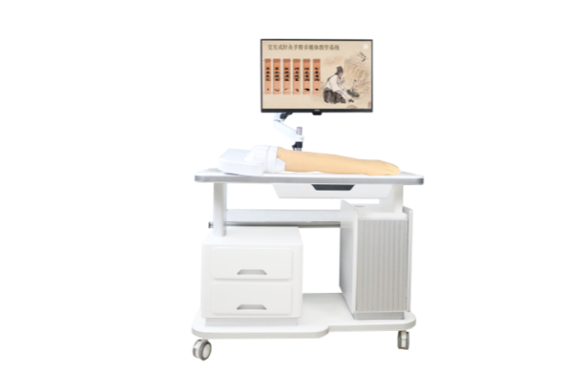 Meridian and Acupoint Visualization Multimedia Teaching System - Arm product image 1
