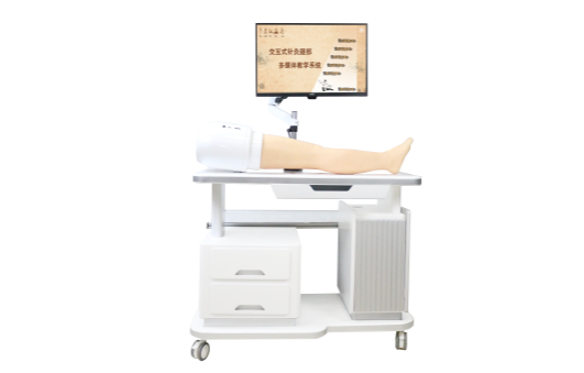 Meridian and Acupoint Visualization Multimedia Teaching System - Leg product image 1