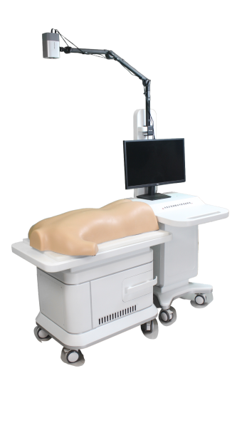 Interactive Back Tuina Training and Assessment System product image 1