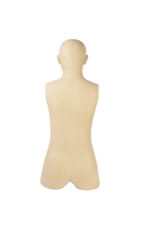 Moxibustion Training Model product image 1